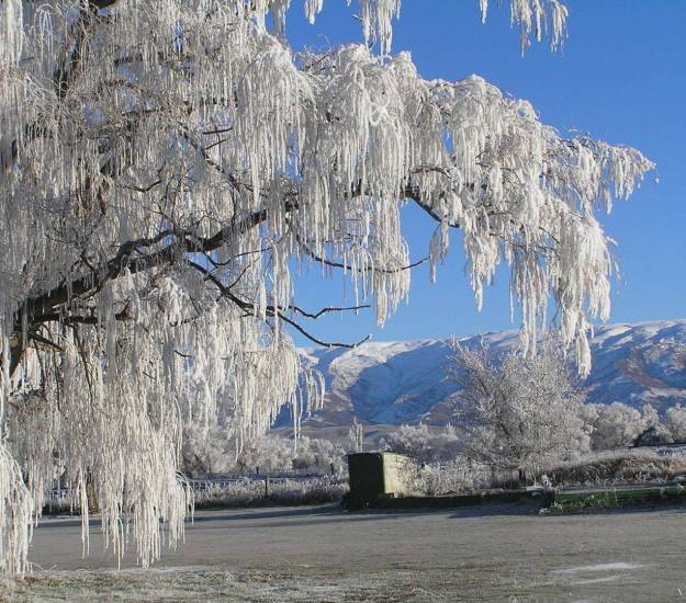 Hoar frost | Schist Rock |Accommodation |Central Otago Rail Trail